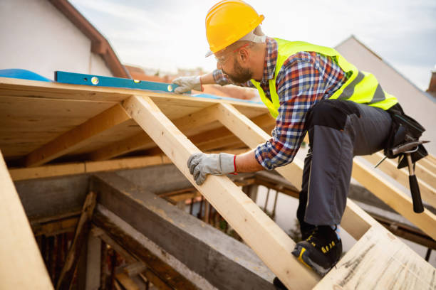 Best Roof Gutter Cleaning  in Cortland, OH
