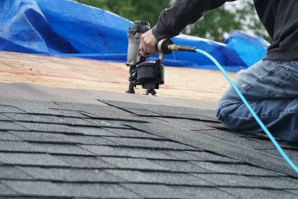 Roof Gutter Cleaning in Cortland, OH